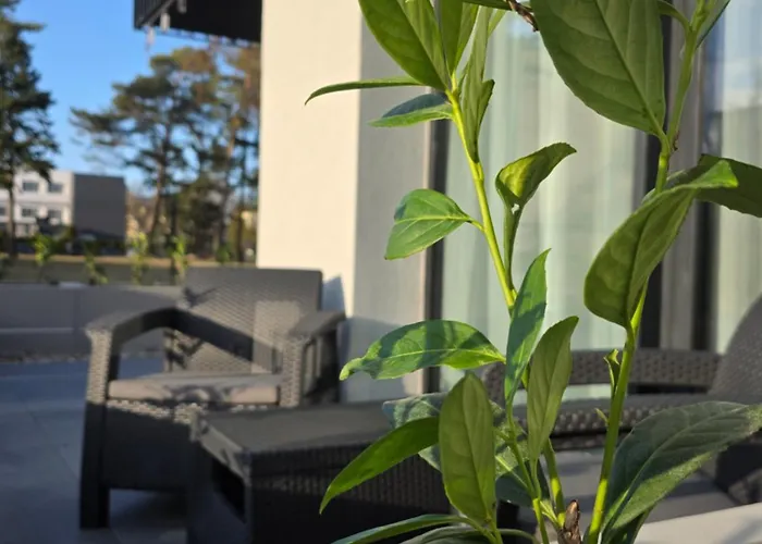 Park Apartment Mielno (Koszalin)